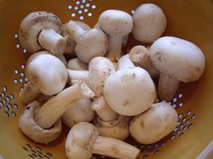 How To Clean Mushroom